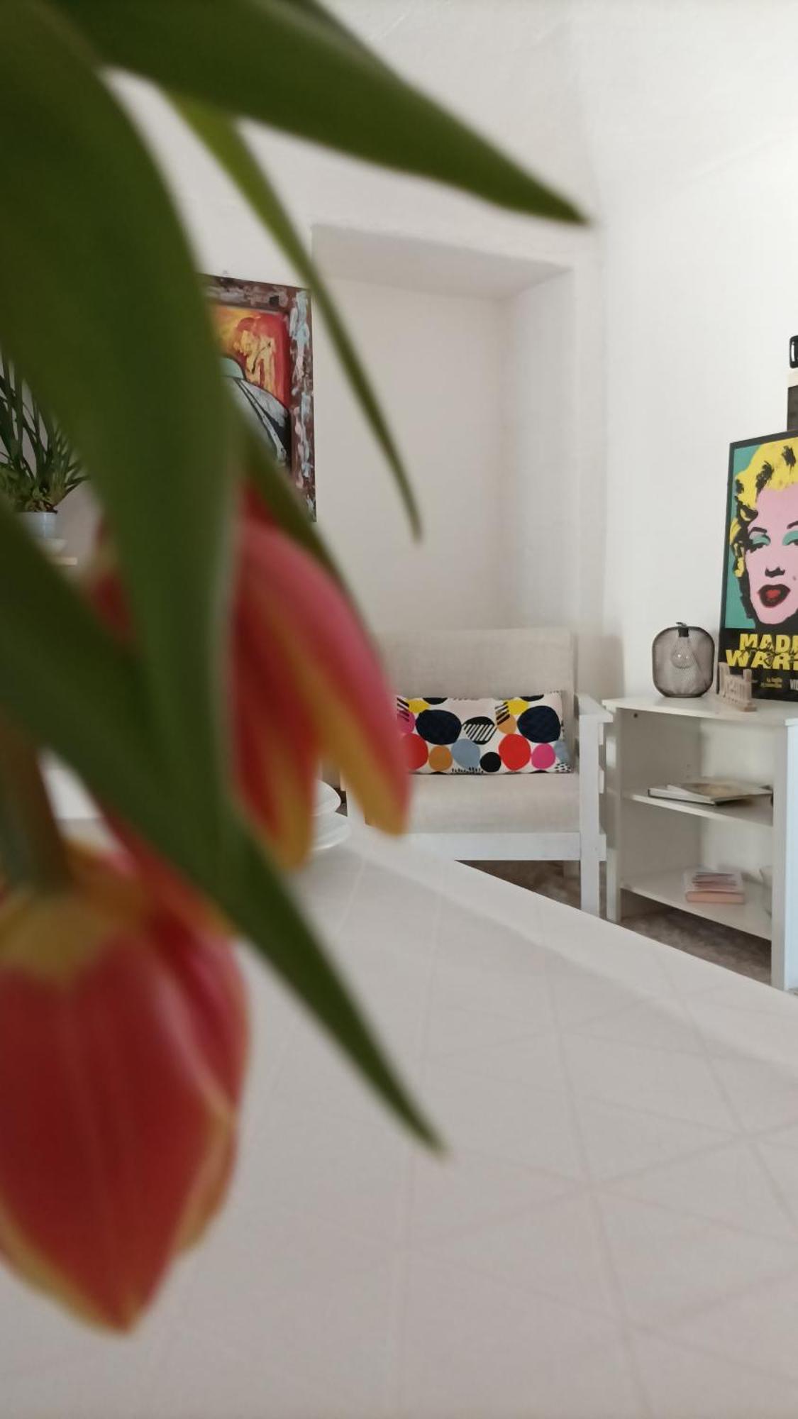 Quick Home - Interno 45 Б'єлла Номер фото